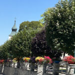 Jahreshauptversammlung Verschönerungsverein