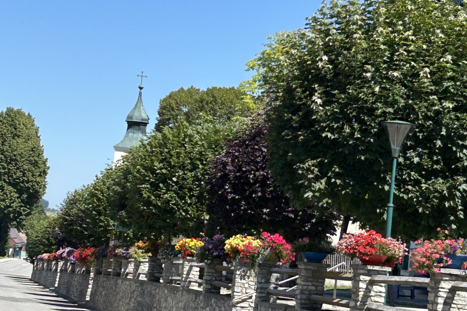 Jahreshauptversammlung Verschönerungsverein